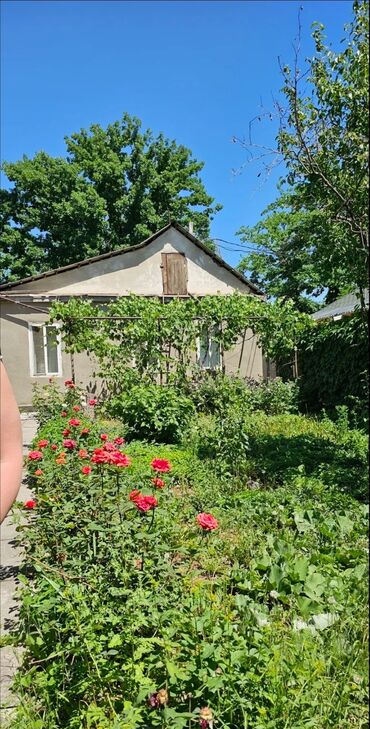 Продажа домов: Дом, 65 м², 3 комнаты, Риэлтор, Старый ремонт