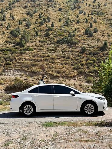 фары на опель вектра б: Toyota Corolla: 2022 г., Автомат, Гибрид, Седан — 1