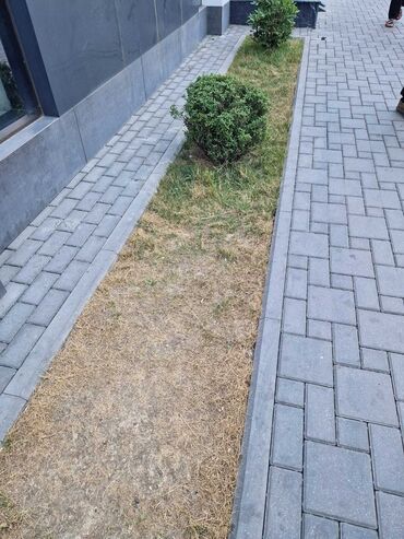 Tamet: Beton dekorativ tamet döşəmə - Material: vibro-press beton tamet (daş — 5