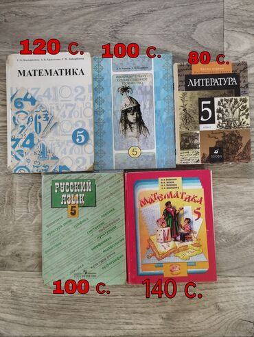 математика книга 1 класс: Учебники за 5 класс Русский язык (М.Т.Баранов, Т.А.Ладыженская) - 100