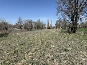 Продажа коттеджей и домов: Продается дом. г.Кара-Балта(в с.Вознесеновка). Дом состоит из — 18