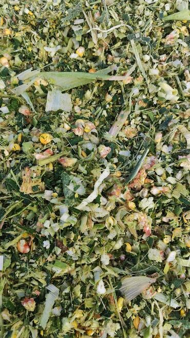 кухонные оборудования: Кукуруза