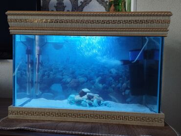 akvarium satisi: Akvarium Versaci Satılır. 75-Litirdi. 8-lik şüşədən hazırlanıb. Ağ