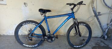 İdman velosipedləri: Dağ velosipedi Stels, 26", sürətlərin sayı: 21