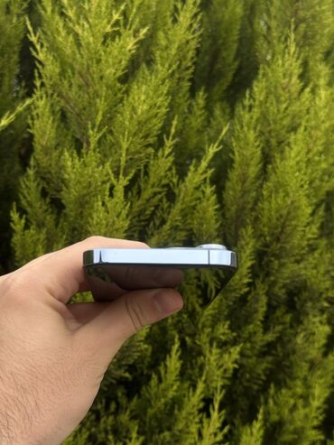 Apple iPhone: IPhone 13 Pro Max, 128 GB, Sierra Blue, Face ID — 11