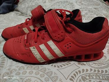 кошельки бишкек: Мужские кроссовки, 43, Adidas, Б/у, цвет - Красный — 1