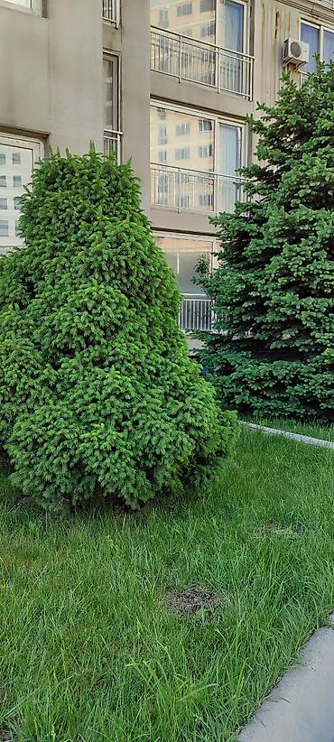 11: 3 комнаты, 87 м², Нижний Джал (Джал-23) Элитка, 11 этаж — 8