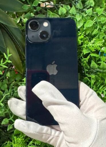 IPhone 13, Göy