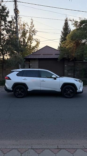 купить л 200: Toyota RAV4: 2021 г., 2.5 л, Вариатор, Гибрид, Кроссовер — 1