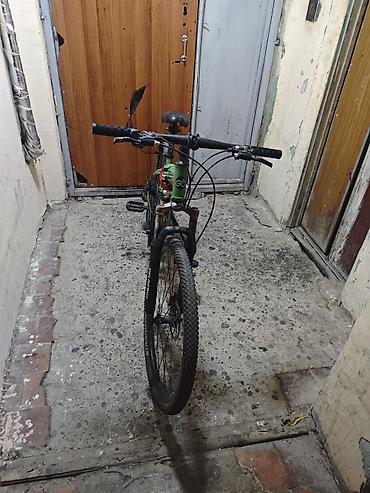 wolf bicycle: Velosiped – Velocruz Patriot (dağ velosipedi) - Çərçivə: alüminium — 1