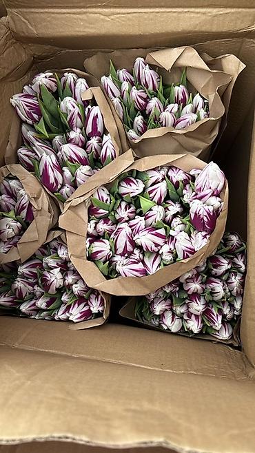 Букеты из живых цветов: Тюльпаны упаковки в крафт-бумаге - Разнообразие окрасов — 2