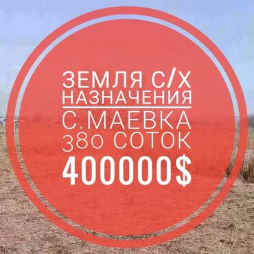 участки и дома: 380 соток, Для сельского хозяйства