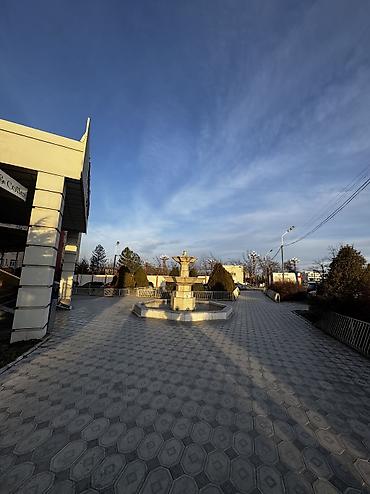 Продажа квартир: 4 комнаты, 228 м², Элитка, 9 этаж, Косметический ремонт — 22