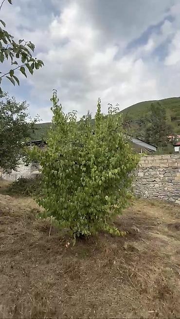 goy golde ucuz satılan evler: 4 sot — 4