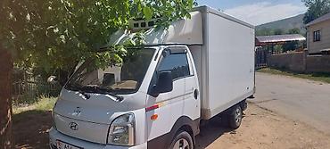 man рефрижератор: Изотермический/рефрижераторный фургон на базе Hyundai Porter II — 1