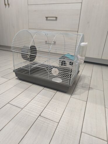 золотистая шиншилла: Клетка для грызунов (хомяков, мышей, декоративных крыс небольших