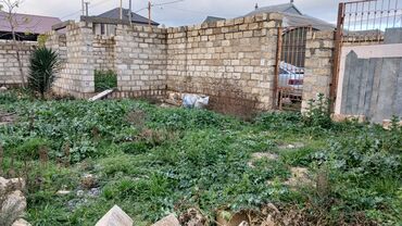 Torpaq sahələrinin satışı: 10 sot, Tikinti, Barter mümkündür, Kupça (Çıxarış) — 4