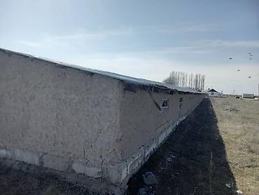 ысык куле: Кой короо, 6000 соток, Иштебеген, Жарым-жартылай жабдуулары менен, Скважина — 8