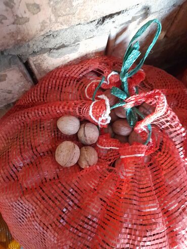 Сухофрукты, орехи, снеки: Продаю грецкие орехи урожай прошлого года
