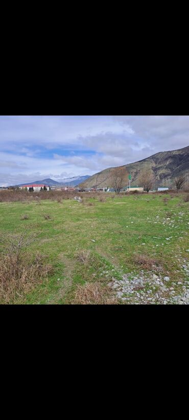 şəki torpaq satılır: 6 sot, Tikinti, Mülkiyyətçi, Kupça (Çıxarış)