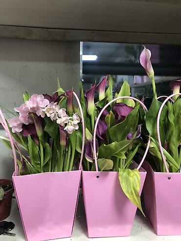 Подарочная упаковка: Подарочные композиции в коробке-сумке - Живые комнатные — 19