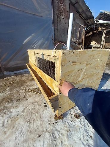 Товары и оборудование для с/х животных: Жөжөлөрго Бурдерлер Жөжө Капас Бар жөжөгө Ар кыл размер ар кыл баада at lalafo.kg — 6 Товары и оборудование для с/х животных: Жөжөлөрго Бурдерлер Жөжө Капас Бар жөжөгө Ар кыл размер ар кыл баада — 6