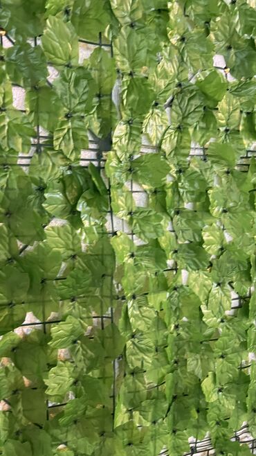 Digər ev dekoru: 7 man baslayan qiymetler Depodan bir basa satis Mehsulkari olkeye — 9