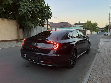 задняя шторка: Hyundai Sonata: 2022 г., 2 л, Автомат, Гибрид, Седан — 7