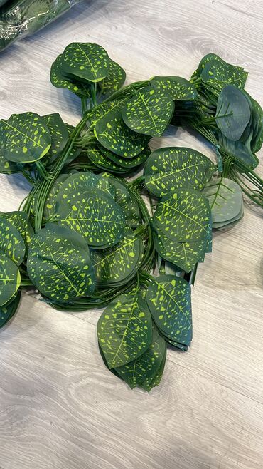 Toxumlar: 9 azn baslayan qiymetler Suni qazonlarin topdan satisi Suni qazon — 14