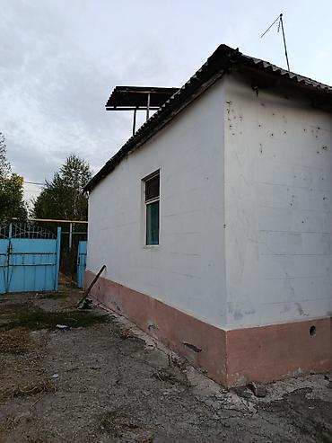 нужен прораб: Белю дома с наружы с нутри, шпаклевка покраска и другие ремонты — 6