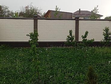 Другие малярные работы: Больше 6 лет опыта — 13