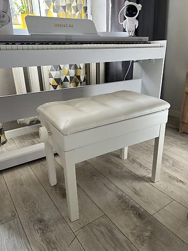 Пианино: Полноактавное акустическое пианино, цветной понятный дисплей, вы — 5