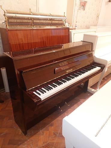 Musiqi alətləri: Pianino PETROF Cexiya stehsalı. İdeal vəziyyədə. Cadrılma və köklənmə — 3