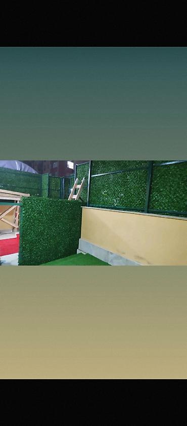 Bağ və bostan üçün digər məhsullar: Yaşıl arakəsmə. Türkiyə istehsalı paslanmayan ikiqat məftil və dörd — 11