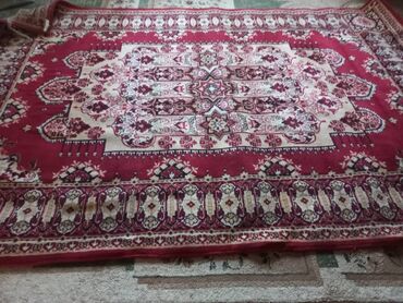 комнатные растения оптом: Килем Колдонулган, 250 * 350