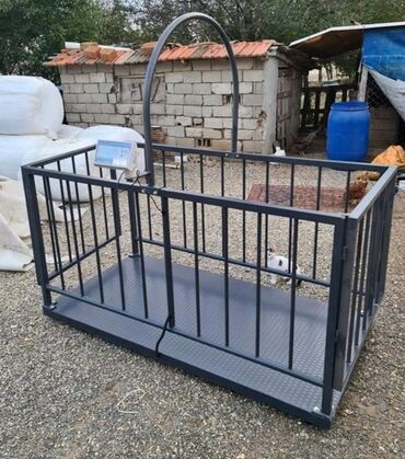 Ticarət tərəziləri: Terezi satisi — 8