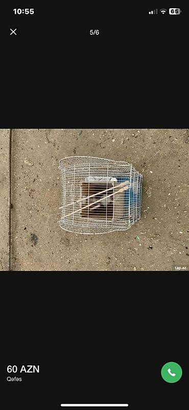 qus yarim tip: Quş qəfəsi - Material: metal tel karkas, plastik altlıq - Forma: üst — 2