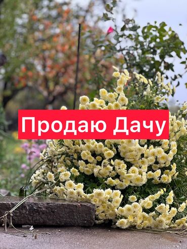 участки учкун: 5 соток, Для сельского хозяйства, Красная книга, Тех паспорт