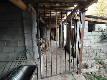 Товары и оборудование для с/х животных: Акур койлорго суу акыр — 15