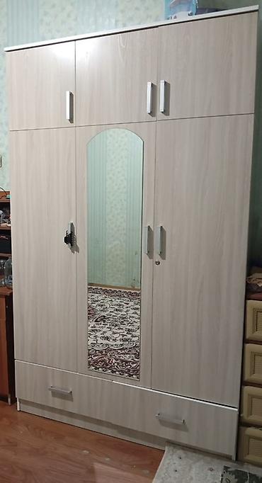 Шифоньер, шкаф для одежды, Б/у, Прямой, ЛДСП
