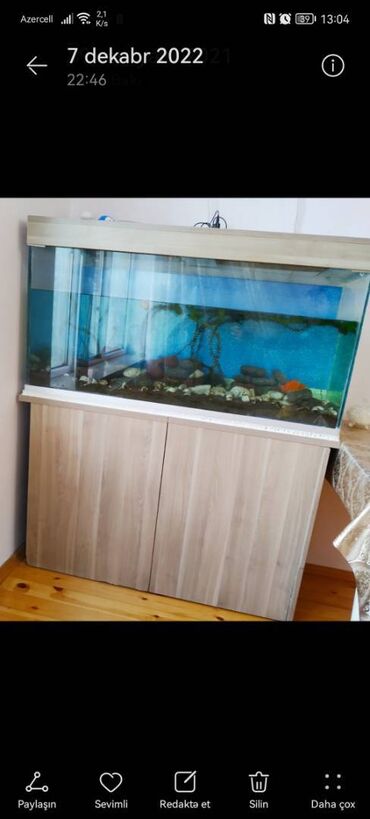 akvarium baliqlari: 120 sm uzunlugu, 55 sm hundurluyu( şkafsiz), 40 sm eni,140 litr su