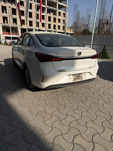 решетка trd: Changan Eado: 2022 г., Автомат, Электромобиль, Седан — 6