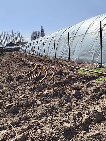 комната ак ордо: С готовой бизнес линиейсрочно, 3 фазка,погреб, скважинаплюс — 4