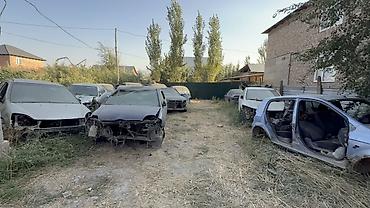 Honda: Honda Civic: 2009 г., Седан — 19