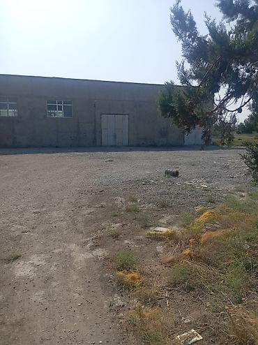 Kommersiya daşınmaz əmlakı: İcarəyə verilir, Baki Səlyan şosesi, 26 km, Yola yaxin istiqametde — 6
