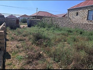 Torpaq: 2 sot, Kənd təsərrüfatı, Kupça (Çıxarış) — 4