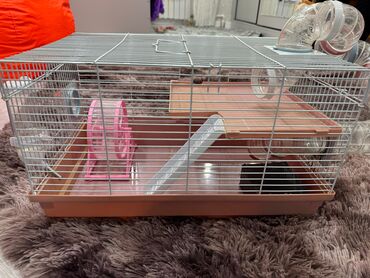 hamster qəfəsi: Hamsterlər üçün qəfəs satılır. Vəziyyəti əladır, demək olar ki