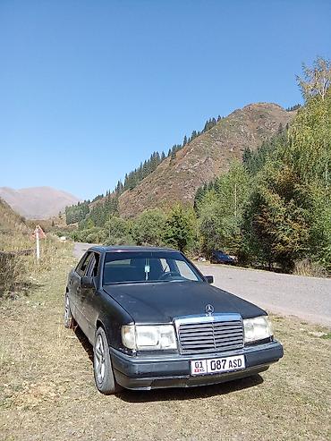 206 65 16: Mercedes-Benz W124: 1990 г., 2.3 л, Механика, Бензин, Седан — 1