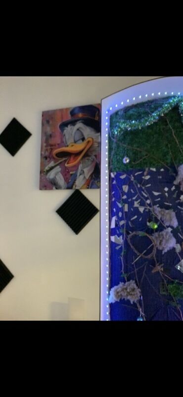 стол для руководителя: Studiyanın dekorativ interyer paketi - LED işıqlandırmalı nişlər