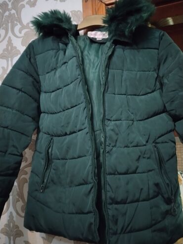 Костюмы: Мужская куртка, Болонка, Зимняя, 2XL (EU 44)